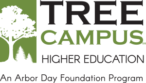 tree campus usa logo