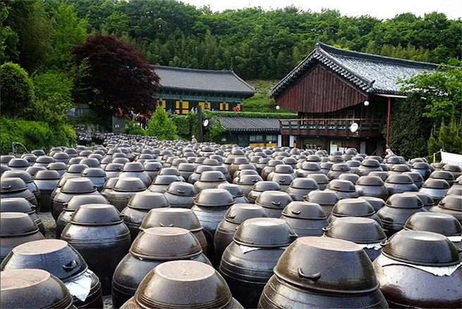 Tongdosa Buddhist Monastery located in South Gyeongsang Province, 4 hours south of Seoul
