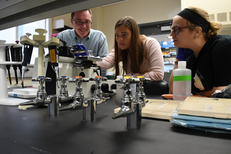 Students in a psychology lab