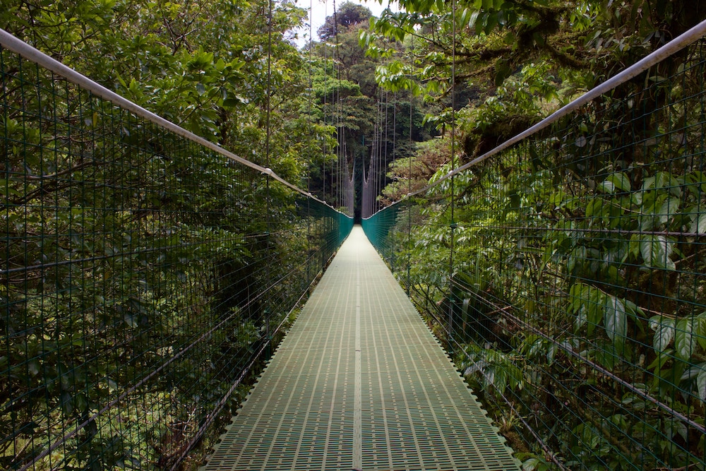 Suspension bridge