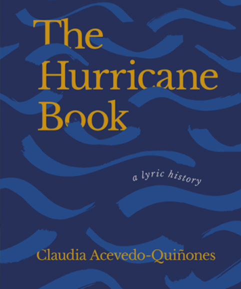 The Hurricane Book cover
