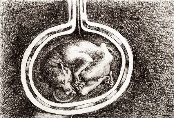 crop from "Minotaur as Embryo" by Michael Ayrton