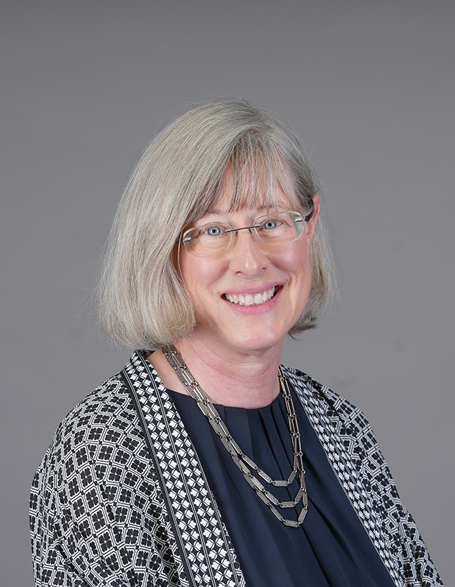 A photo of Professor Suzanne DeVries-Zimmerman