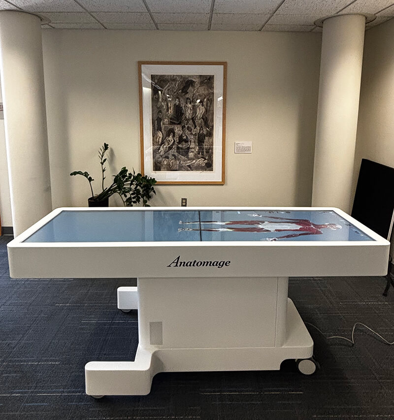 A photo of the Anatomage Table on the second floor of Van Wylen Library