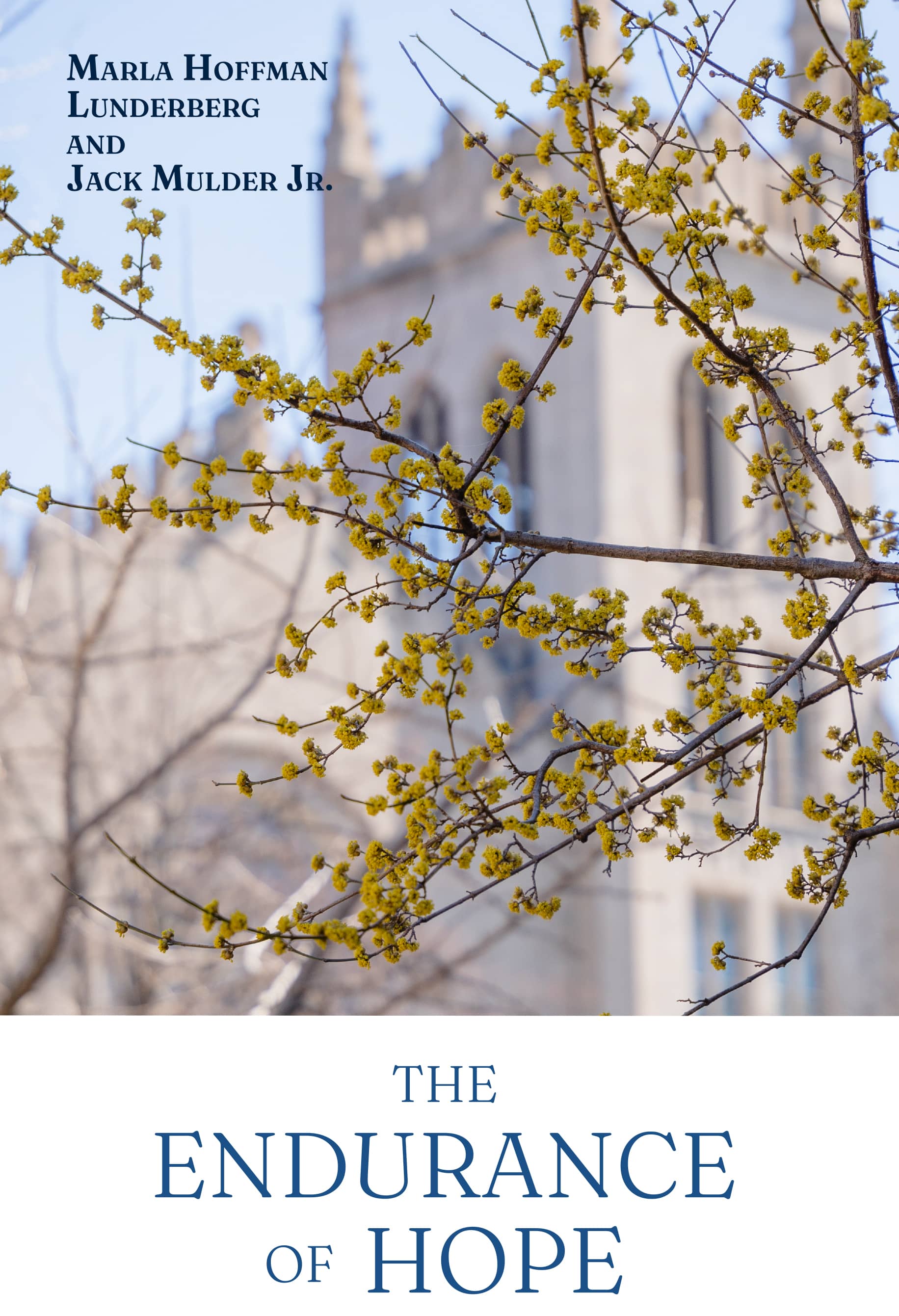 The Endurance of Hope front cover