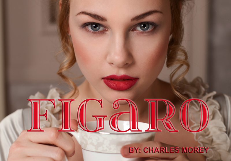 Cover Image: Figaro
