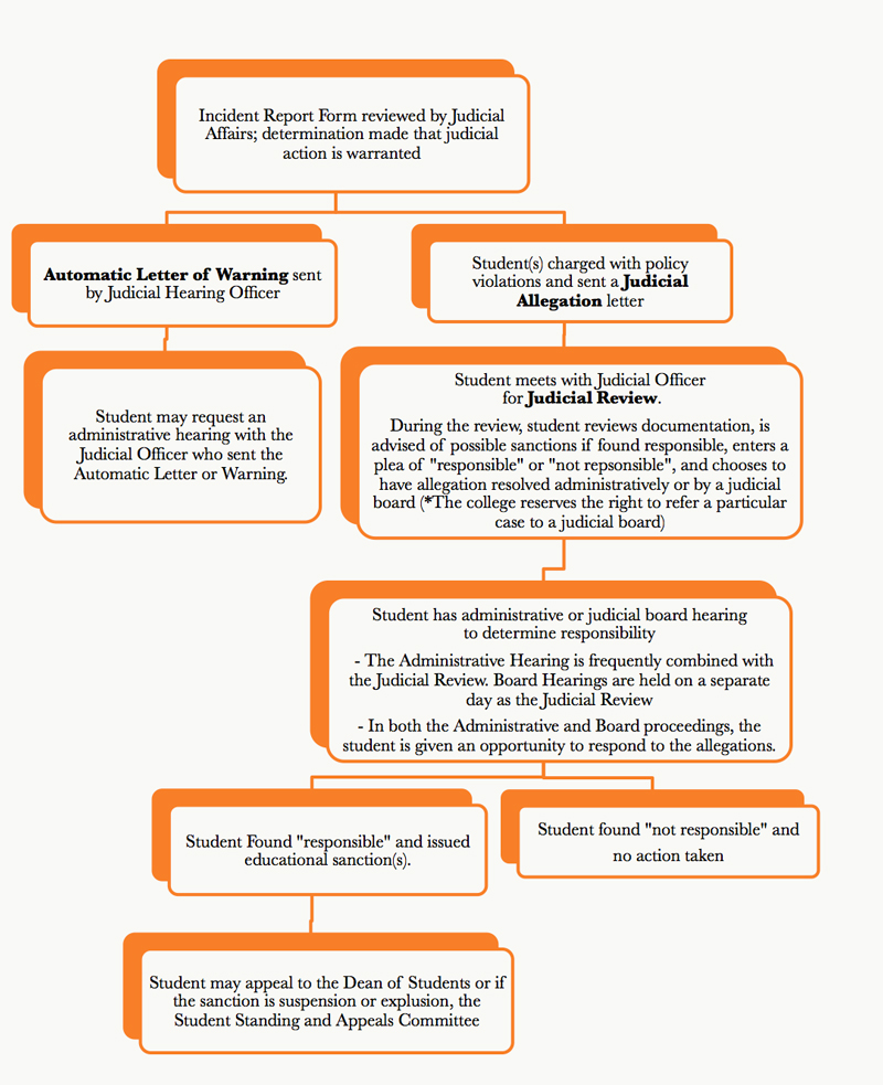 Judicial process flow chart